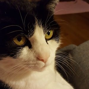 Meet your Posher, Diane